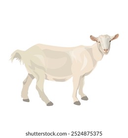 White domestic goat side view. Farm animal. Vector illustration isolated on a white background in a realistic style