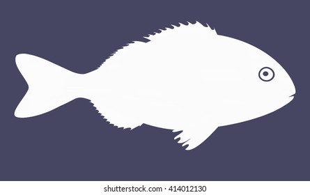 White dorado fish isolated on blue background. Vector Illustration