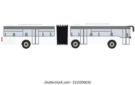 Doble bus blanco. ilustración vectorial