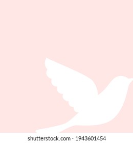 White dove bird on pink background.  Peace, holiday, love, hope card. Vector illustration. International  Peace day sign. 