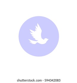 
white dove in the blue circle vector