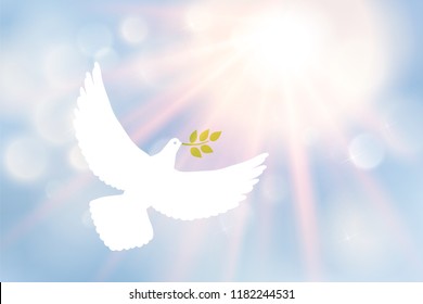 White dove carrying leaf branch and international day of peace. World Water Day. Vector image, sun, sun rays and blue blurred defocused background with bokeh ligth.