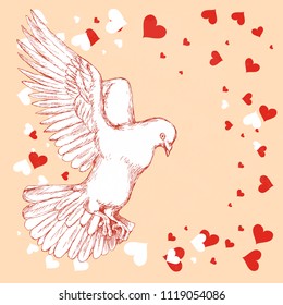 White dove flies. Bird on color background, hearts for romantic design. Hand drawing in sketch style. Vector illustration. EPS10.