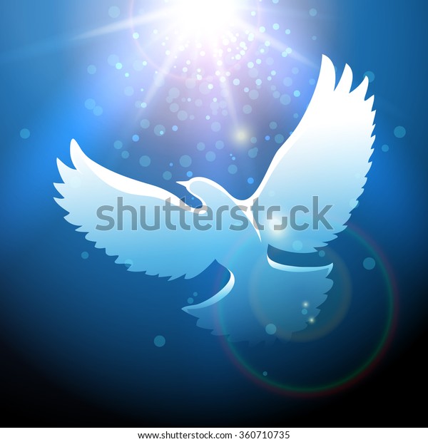 White Dove Flying Blue Sky Stock Vector (Royalty Free) 360710735 ...