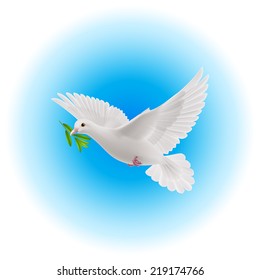 White dove flying with green branch in its beak in blue sky