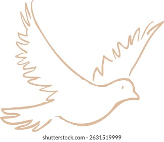 White dove flying. Holy spirit vector illustration and sketch, line art for coloring and mass booklet. White dove to represent peace, god, holy spirit, freedom, peace, love, and faith.