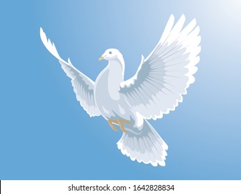 white dove flying on blue sky vector illustration