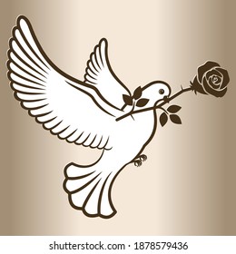 White dove flying with a rose flower. Post pigeon. Vector illustration.