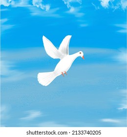 white dove flying in the sky, vector illustration 