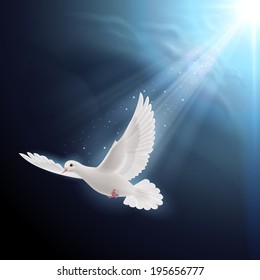 White dove flying in sunlight against dark  blue sky. Symbol of peace