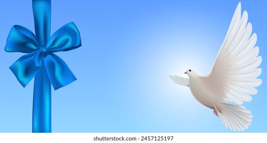 White dove flying in the win with luxurious blue ribbon tying, realistic dove vector design.