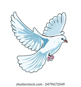 A white dove is flying.Vector illustration isolated on white.