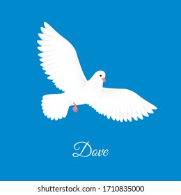 White dove. Free bird in sky. Paper pigeon silhouette. Vector illustration 