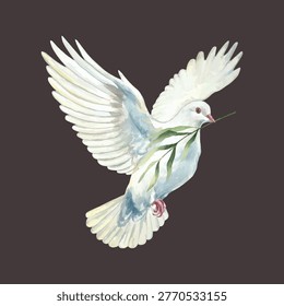White dove with a green twig in its beak. Hand drawn vector watercolor illustration of a bird and flower for card design for Mothers Day, Communion, Baptism and Easter. Suitable for large banners.