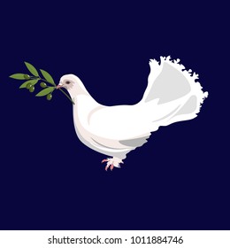 White dove holds in its beak an olive branch. Vector illustration isolated on dark blue background