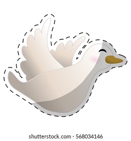 White dove icon image design, vector illustration