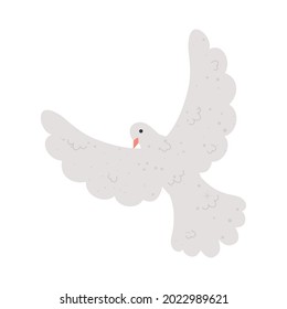 white dove icon on white background