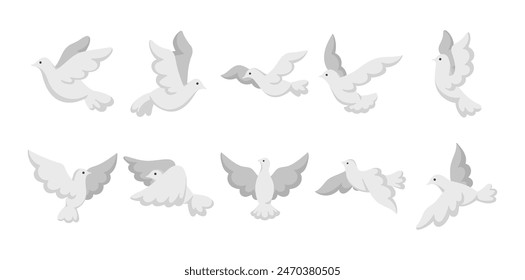 White Dove Illustration Set Bundle