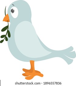 White dove ,illustration, vector on white background