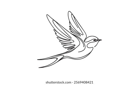 white dove isolated on white