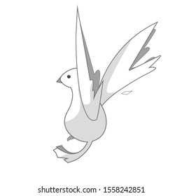 white dove isolated on white background