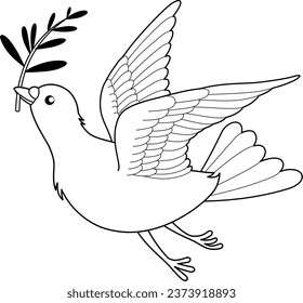The white dove isolated on white background