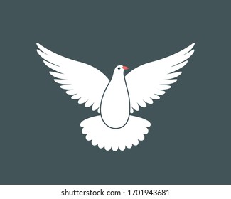 Set White Doves Contours Flying Sitting Stock Vector (Royalty Free ...