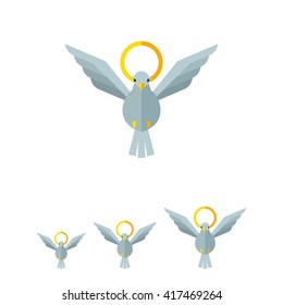 White dove and nimbus