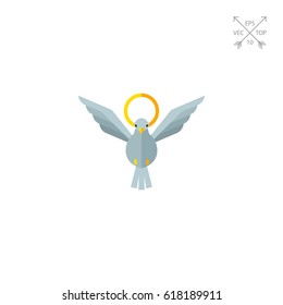 White dove and nimbus