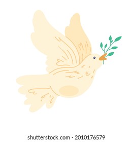 white dove with olive branch
