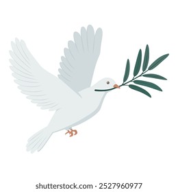 White dove with olive branch flying, symbol of peace, isolated