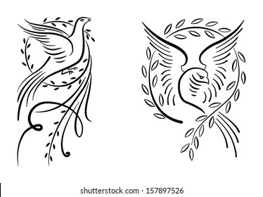 white dove with olive branch on white background