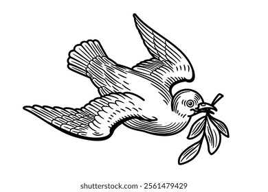 White dove with olive branch, a symbol of peace and pacifism. After the flood, a dove released by Noah returns to the ark with a fresh olive branch in its beak, a sign of peace between God and man.