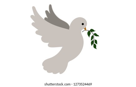 white dove on white background
