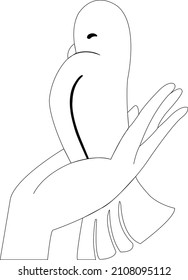 white dove on female hand suitable for background use
