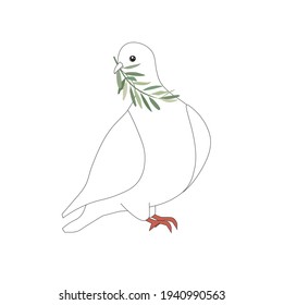 White dove of peace with an olive branch in beak. Art design element stock vector illustration for web, for print, for fabric print