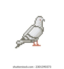 white dove, pixel art animal