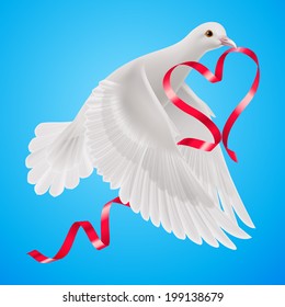 White dove with red ribbon with the blue background.