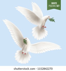 White dove set with peace and olive branch symbols realistic isolated vector illustration