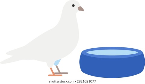 White dove standing beside a blue bowl of water. A flat vector illustration of a white pigeon next to a blue water bowl on a grey background. Simple and clean design. Ideal for pet care blogs or animal welfare educational content.