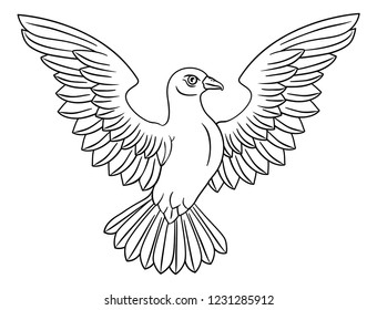 A white dove, a symbol of peace, faith or hope