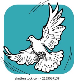 White dove is symbol of peace, hope, love in the world. Flying pigeon like holy spirit brings freedom, joy, grace. Hand drawn retro vintage vector illustration. Old style comics cartoon line drawing.