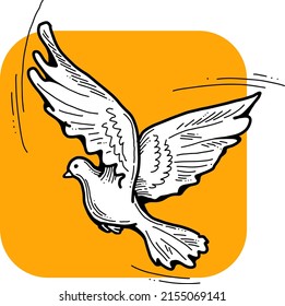 White dove is symbol of peace, hope, love in the world. Flying pigeon like holy spirit brings freedom, joy, grace. Hand drawn retro vintage vector illustration. Old style comics cartoon line drawing.
