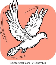 White dove is symbol of peace, hope, love in the world. Flying pigeon like holy spirit brings freedom, joy, grace. Hand drawn retro vintage vector illustration. Old style comics cartoon line drawing.