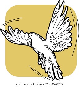 White dove is symbol of peace, hope, love in the world. Flying pigeon like holy spirit brings freedom, joy, grace. Hand drawn retro vintage vector illustration. Old style comics cartoon line drawing.