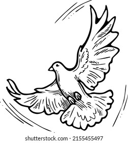 White dove is symbol of peace, hope, love in the world. Flying pigeon like holy spirit brings freedom, joy, grace. Hand drawn retro vintage vector illustration. Old style comics cartoon line drawing.