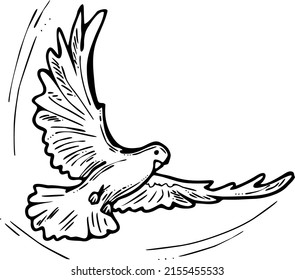 White dove is symbol of peace, hope, love in the world. Flying pigeon like holy spirit brings freedom, joy, grace. Hand drawn retro vintage vector illustration. Old style comics cartoon line drawing.