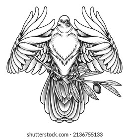 White dove symbol of peace. Vector illustration of white flying pigeon holding olive branch, in engraving technique isolated on white. 