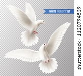 White dove transparent set with peace symbols realistic isolated vector illustration