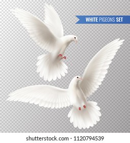 White dove transparent set with peace symbols realistic isolated vector illustration